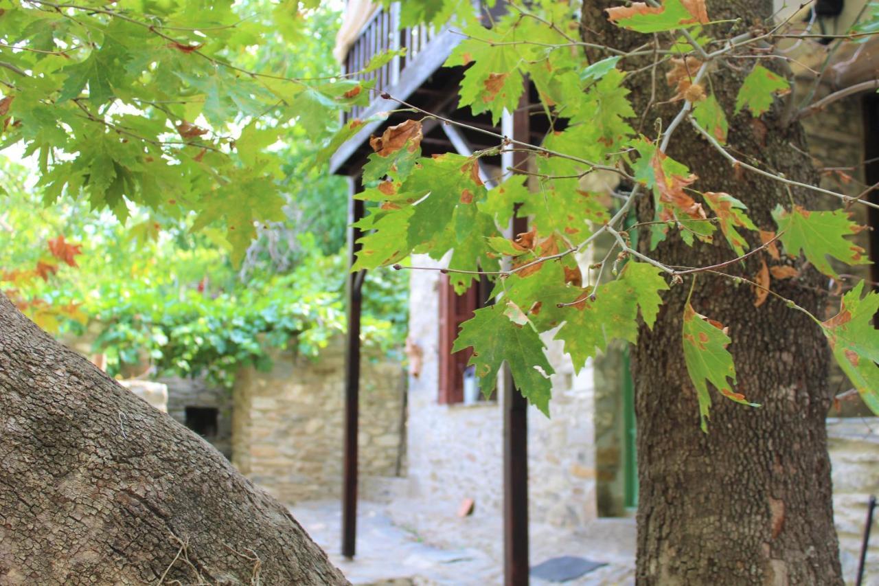 Sweet Suites 1907 Μικρός Πρίνος Εξωτερικό φωτογραφία